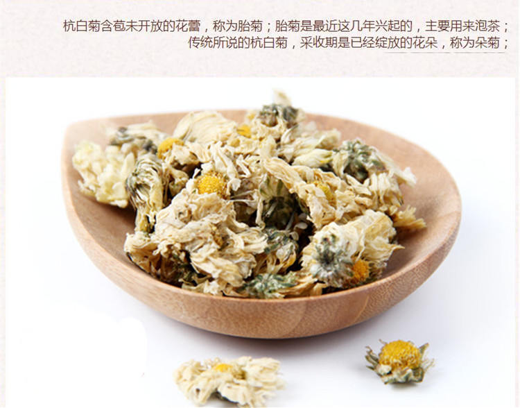 杭白菊4.jpg