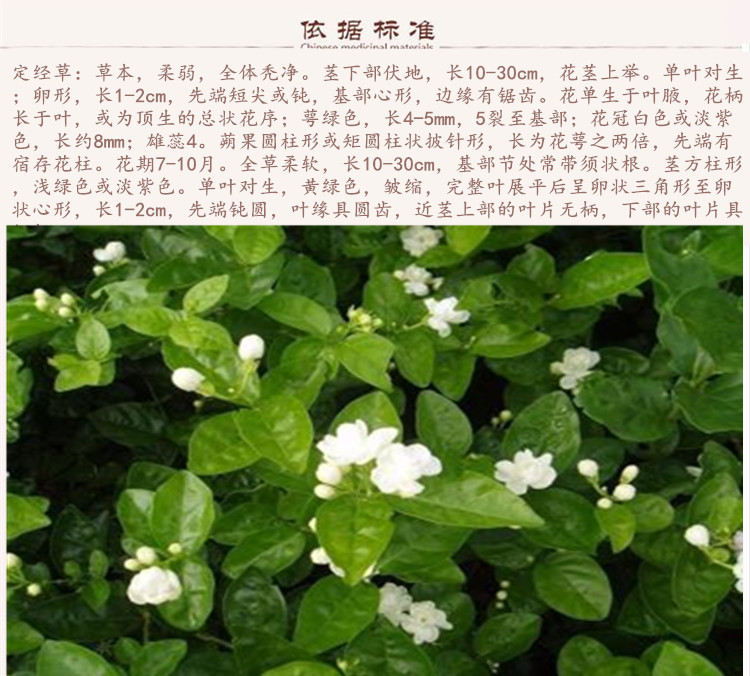 茉莉花根9.jpg