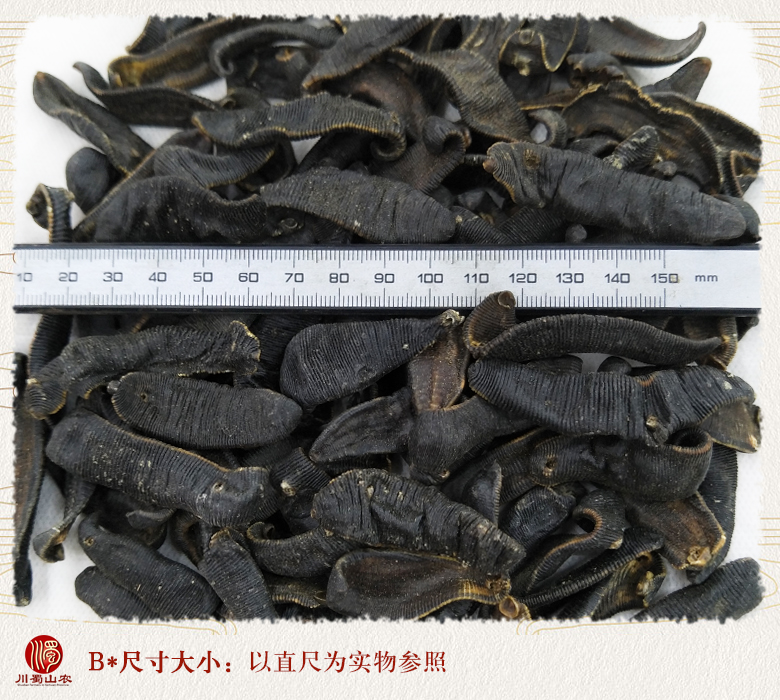 cstcssnshuizhiqingshuidiaoganhuo09.jpg