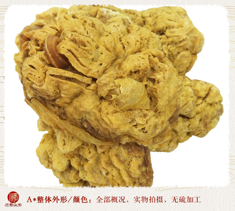 cstcssnzihechewuxuequangan09.jpg