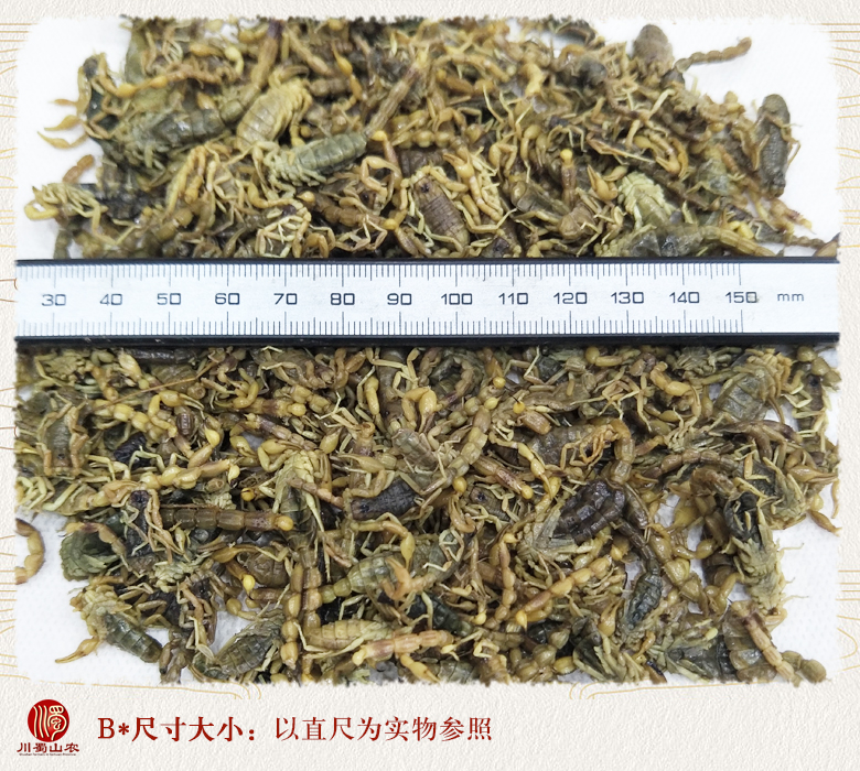 cstcssnquanchongyanshuibanganhuo011.jpg