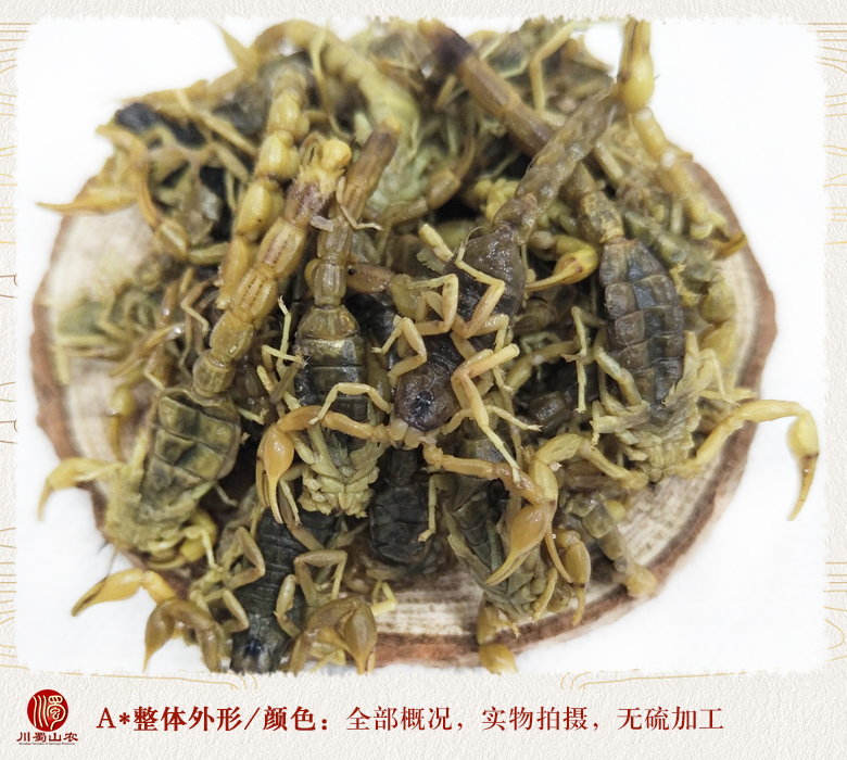 cstcssnquanchongyanshuibanganhuo010.jpg