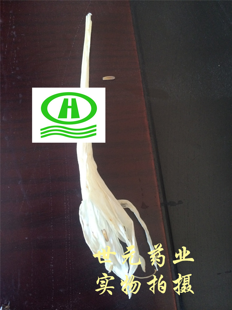 麻山药毛条刘扬~02.jpg