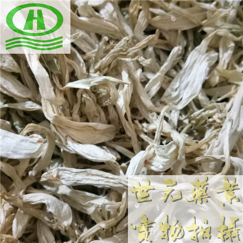 玉簪花550奇750云_副本.jpg