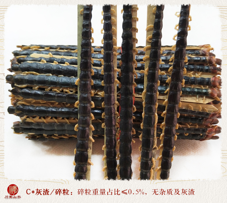 cstcssnwugong14zhi15daizhupian010.jpg