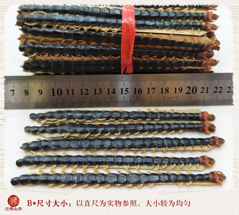 cstcssnwugong14zhi15daizhupian09.jpg