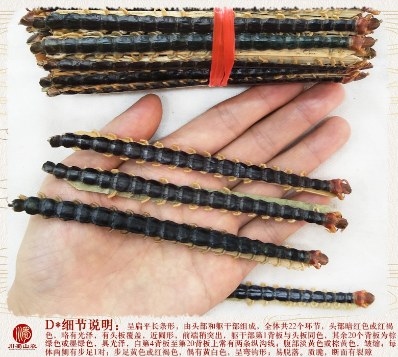 cstcssnwugong14zhi15daizhupian011.jpg