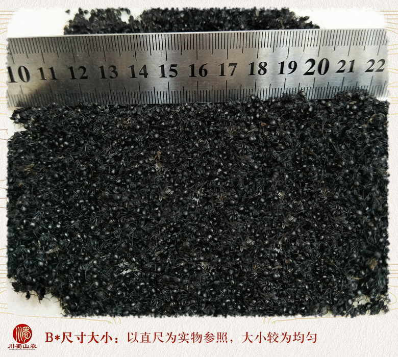 cstcssnheimayixiaoge09.jpg