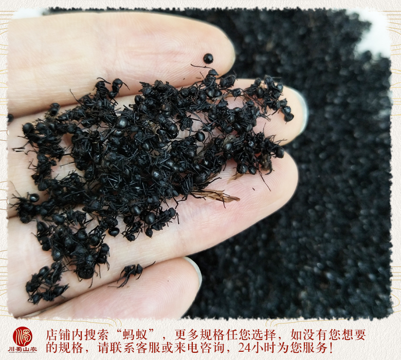 cstcssnheimayixiaoge012.jpg
