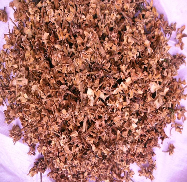 栀子花.jpg
