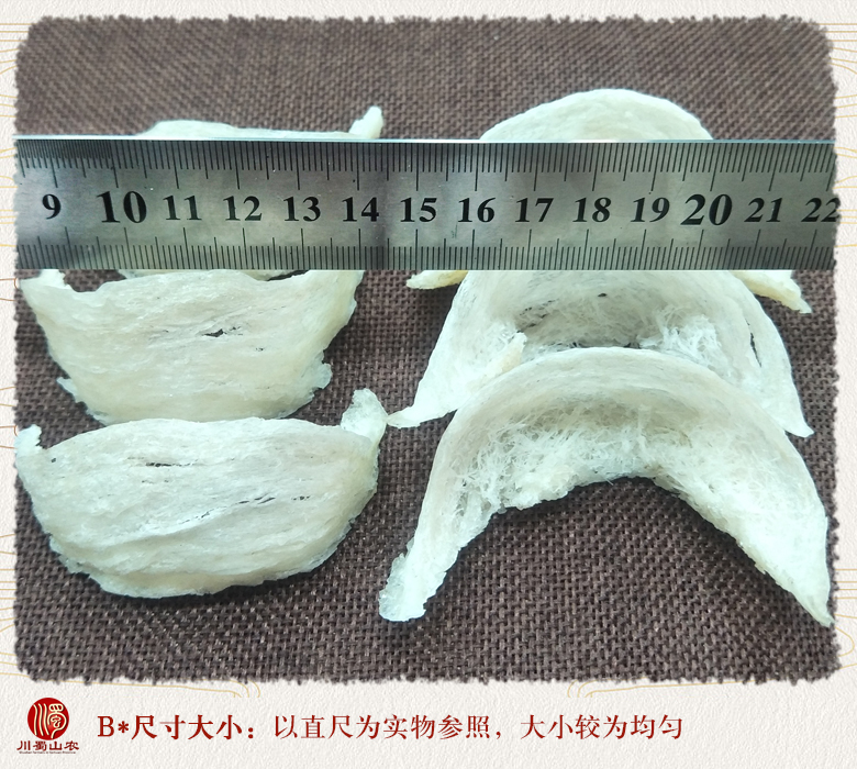cstcssnyanwomizhanzhongzhan09.jpg
