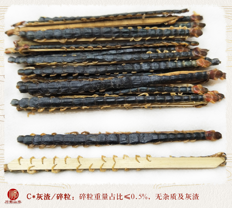 cstcssnwugong10zhi12daizhupian010.jpg