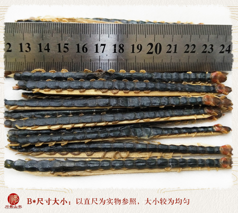 cstcssnwugong10zhi12daizhupian07.jpg