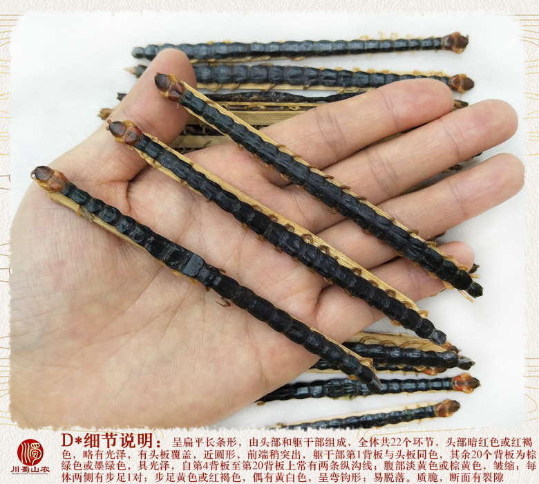 cstcssnwugong10zhi12daizhupian011.jpg