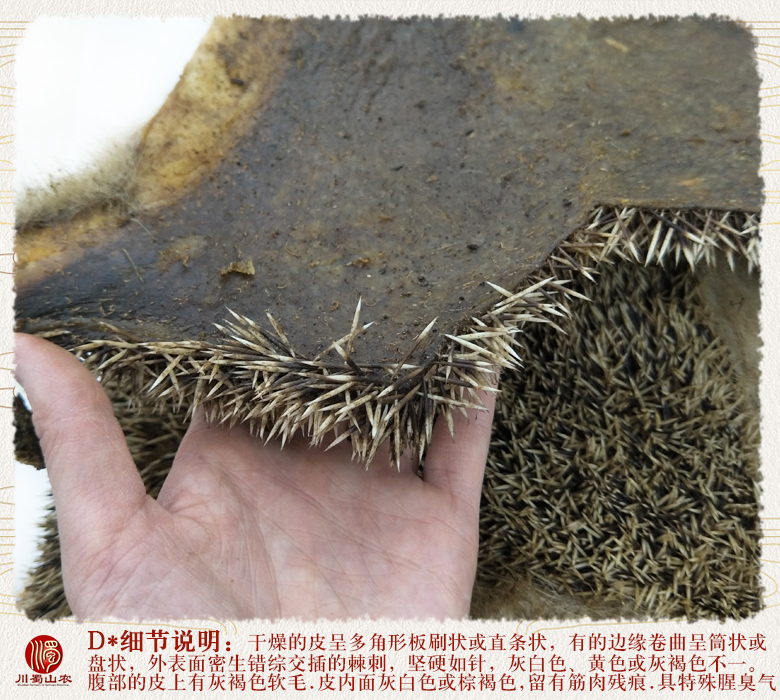 cstcssnciweipizhengkuai011.jpg