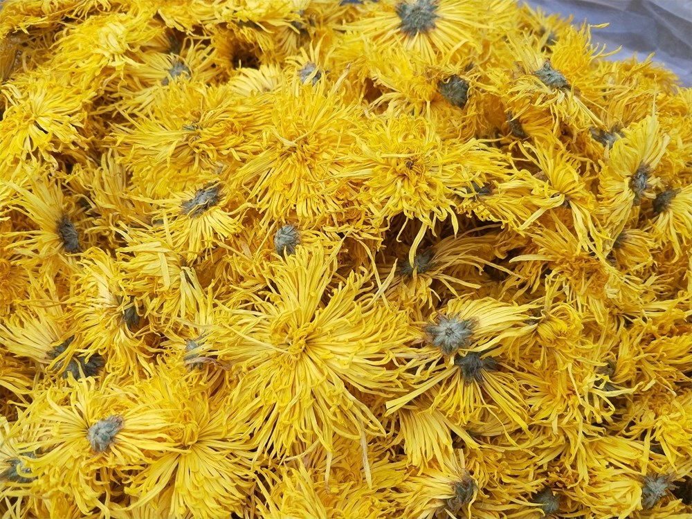 IMG20191201083402.jpg