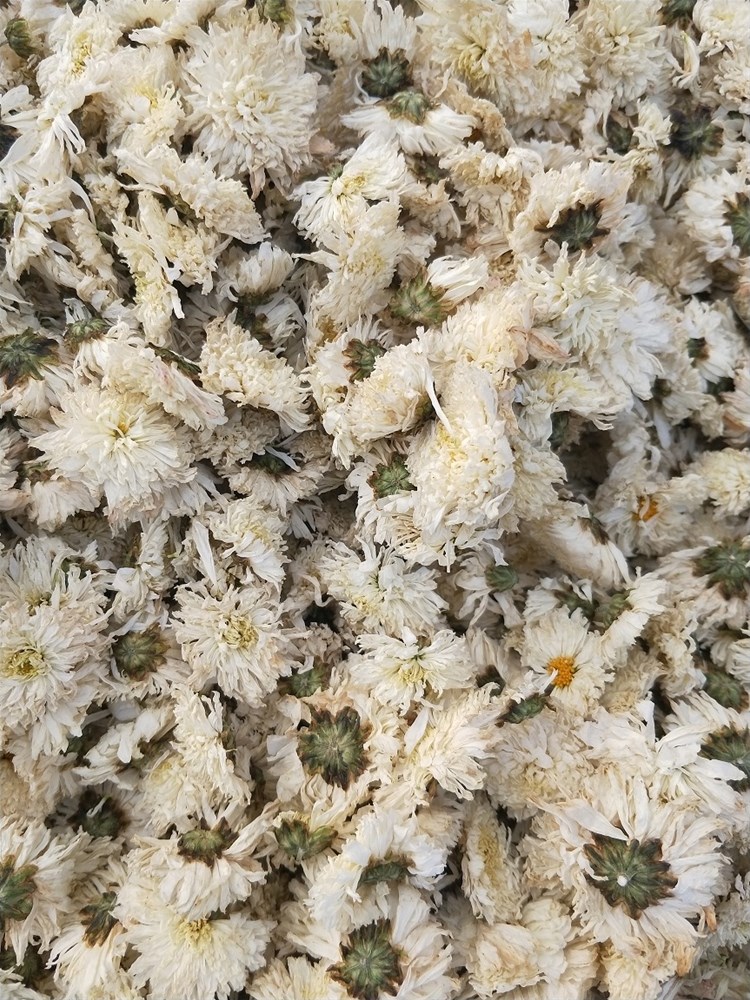 IMG20191201083755.jpg
