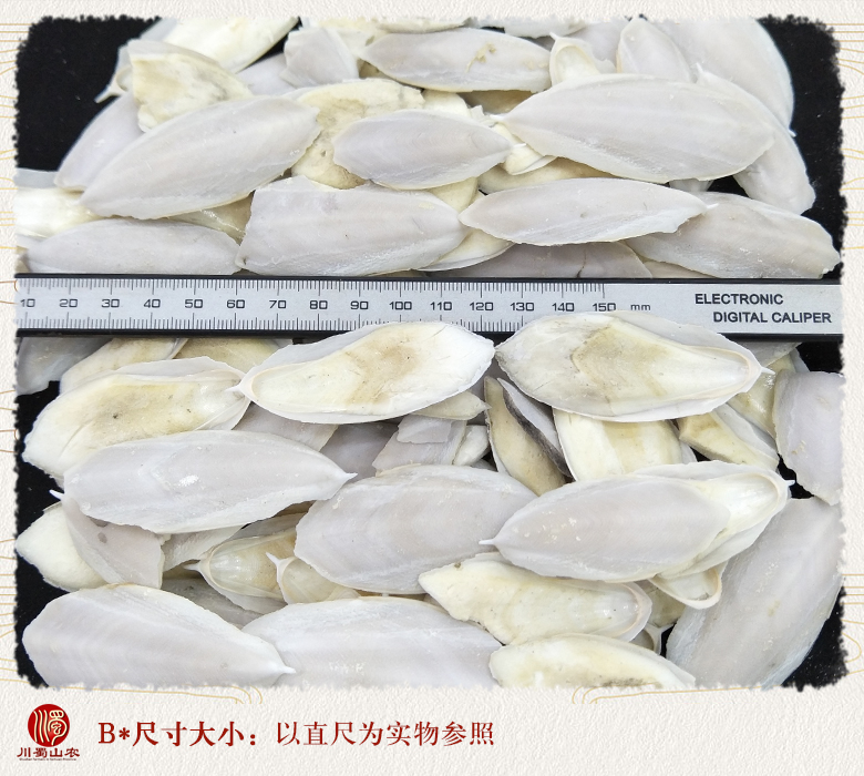 cstcssnhaipiaoxiaoshuixidagexuanhuo09.jpg