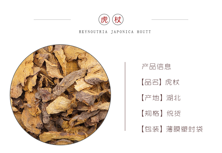 虎杖_01.jpg