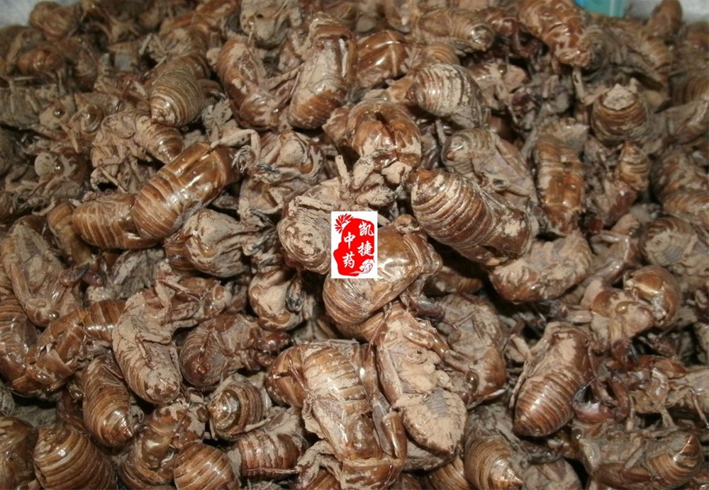 05-03-22-20-2400.jpg