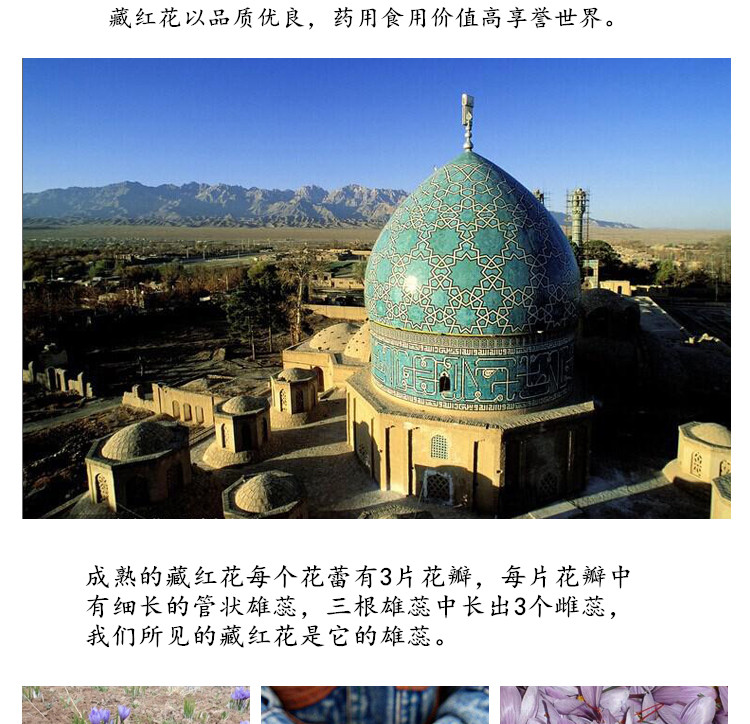 新藏红花3.jpg