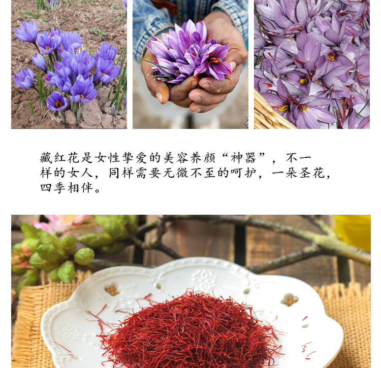 新藏红花9.jpg