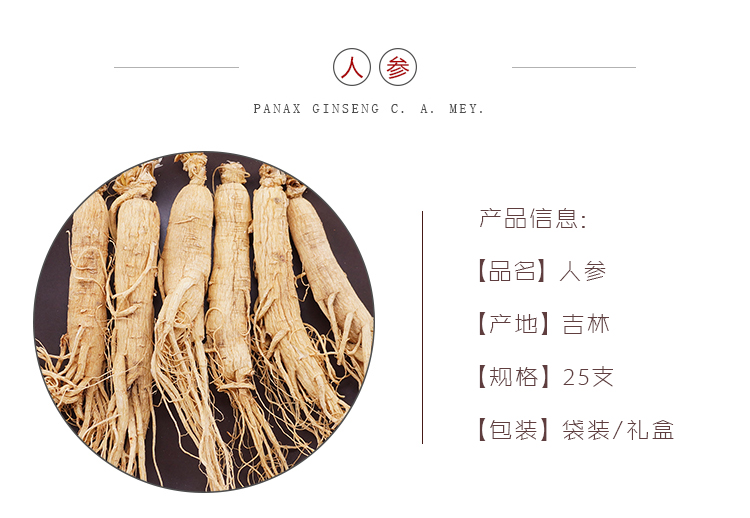 人参25.jpg