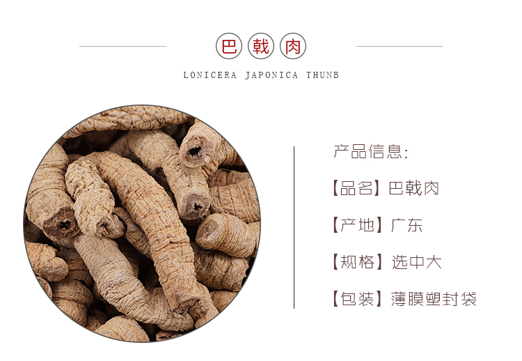 巴戟肉-选中大--产地广东2.jpg