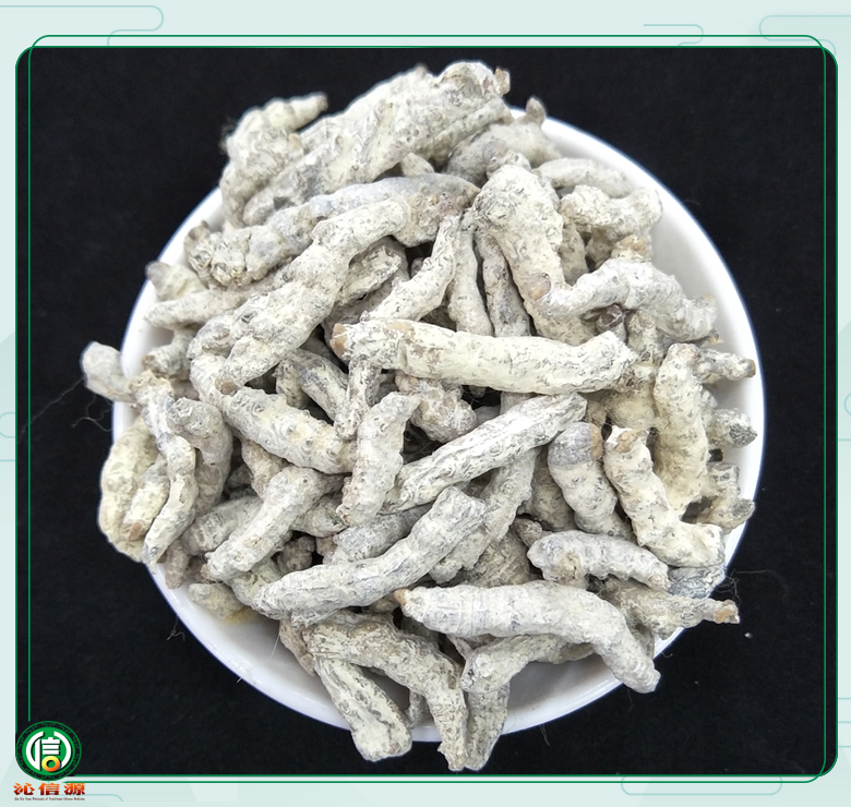 jiangcangezitong011.jpg