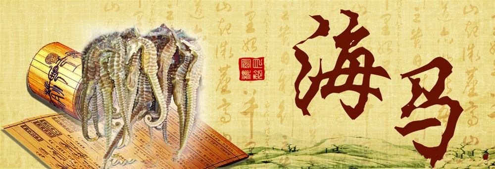 海马.jpg
