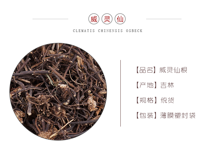 威灵仙根统_01.jpg