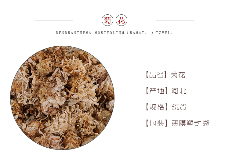 菊花统26_01.jpg