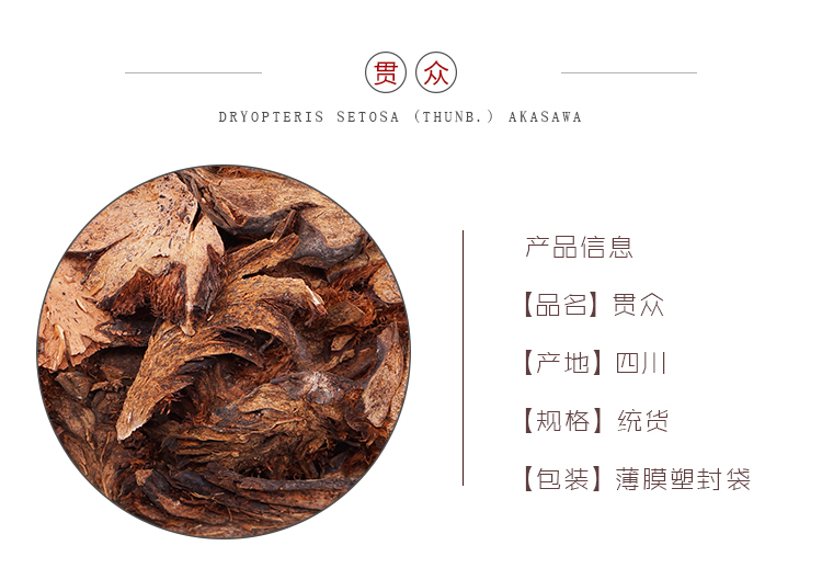 贯众_01.jpg