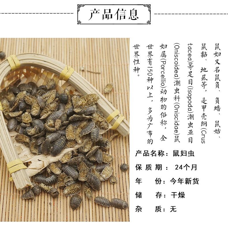 鼠妇虫_02.jpg