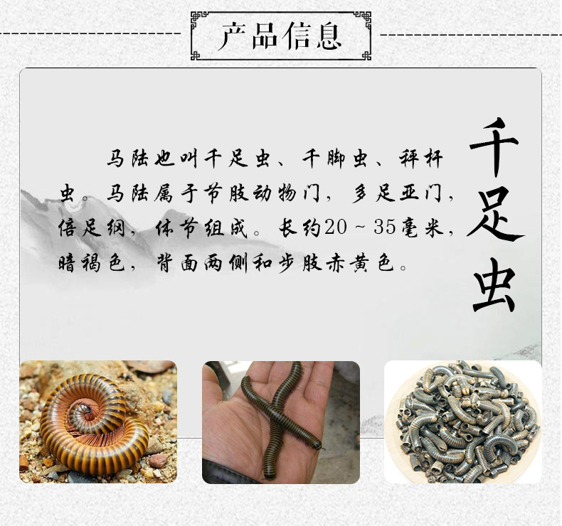 千足虫详情1_03.jpg
