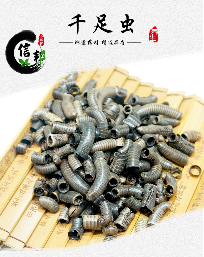 千足虫详情1_01.jpg