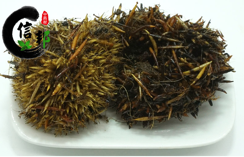 刺猬皮详情5.jpg