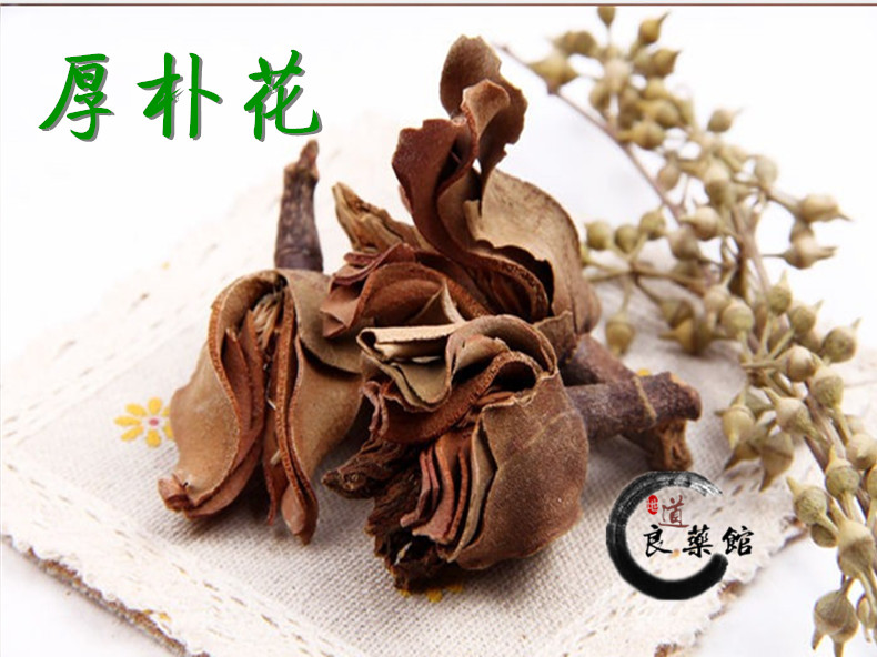 厚朴花1.jpg