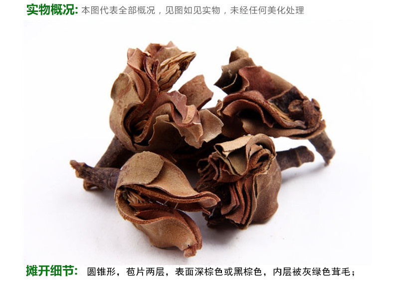 厚朴花4.jpg