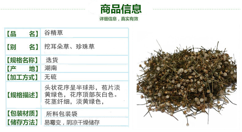 谷精草2.jpg