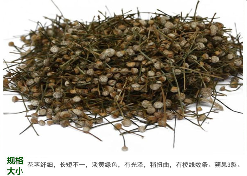 谷精草5.jpg