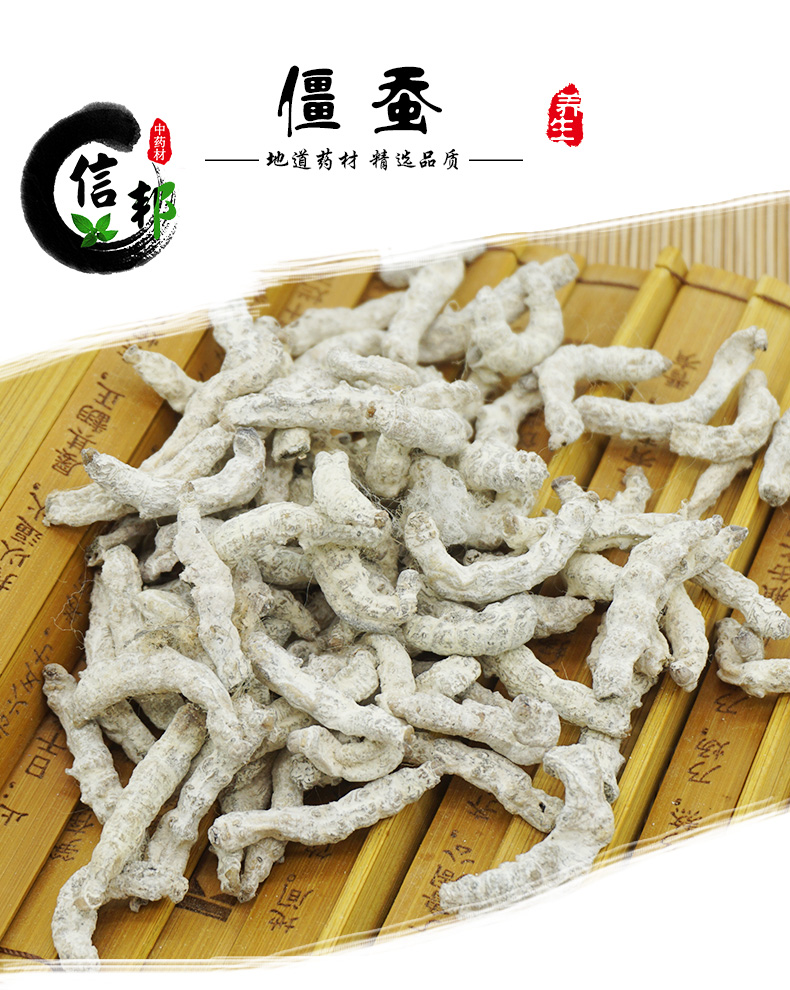 僵蚕1.jpg