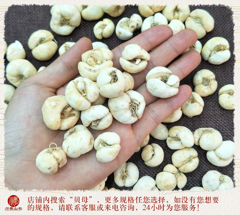 cstcssnzhebeimudabeiwuliutong012.jpg