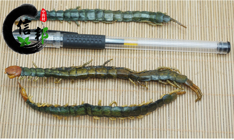 湖北蜈蚣肉短-详情6.jpg