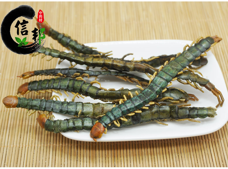 湖北蜈蚣肉短-详情10.jpg