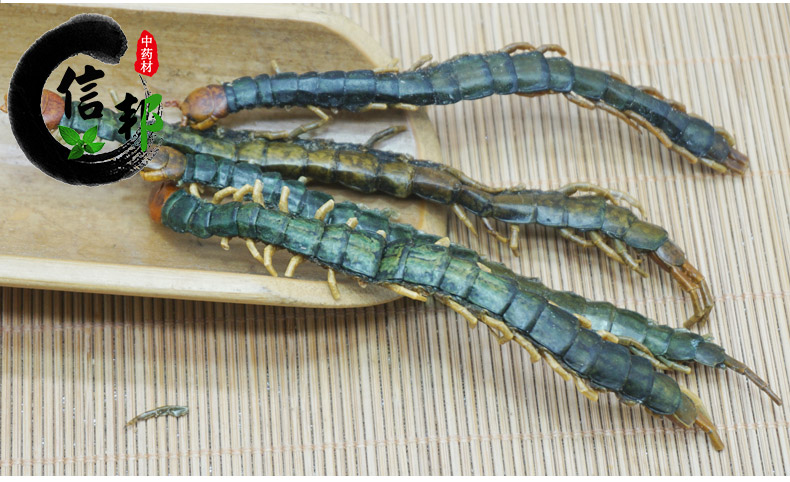 湖北蜈蚣肉短-详情9.jpg