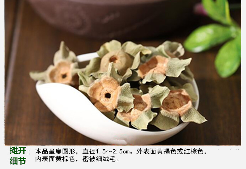 柿蒂4.jpg