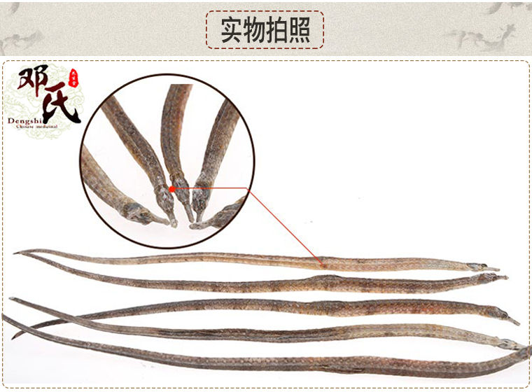 hailongxiao02.jpg