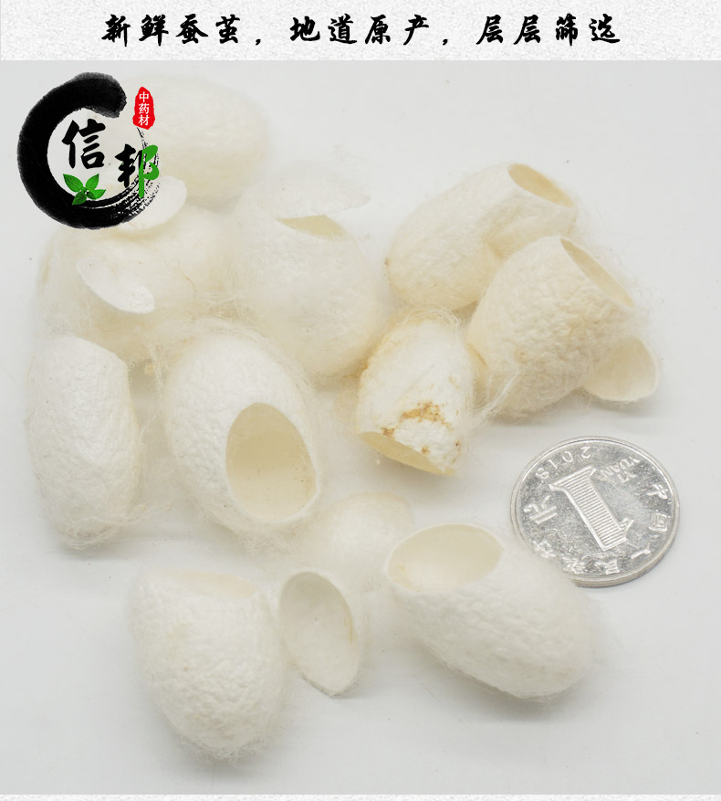 开口蚕茧详情4.jpg