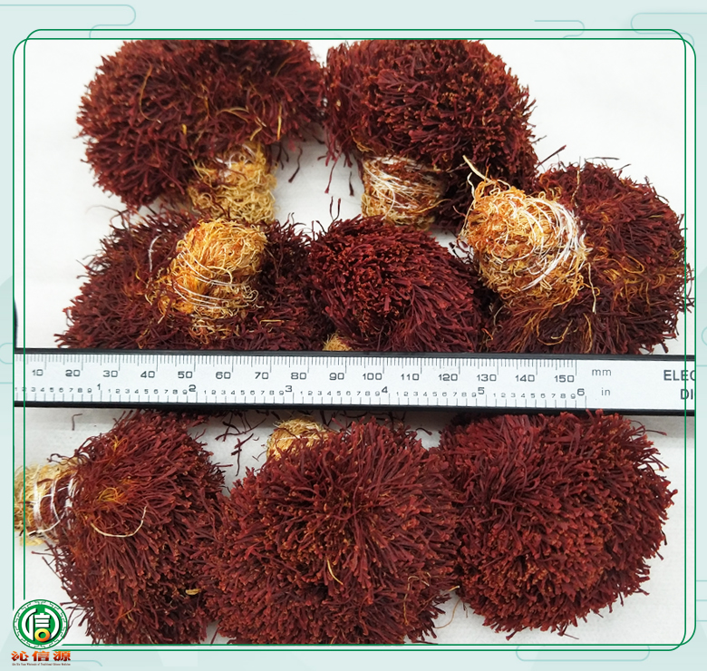 zanghonghuadaihuanggen08.jpg